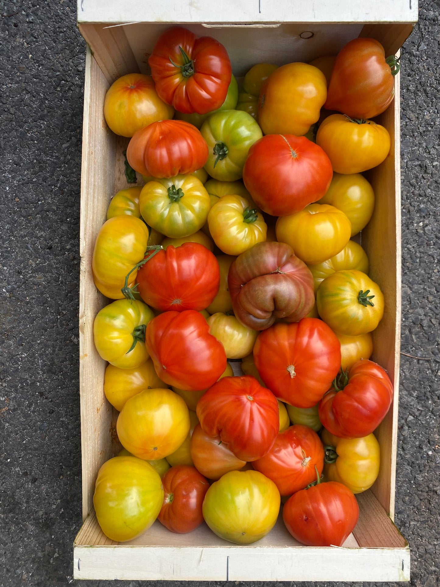 Tomates de Provence